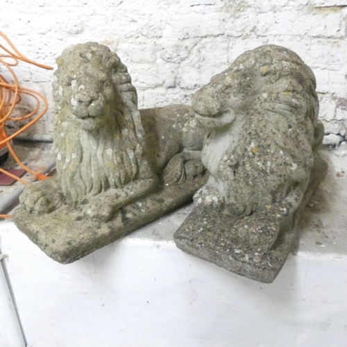 2582 - A pair of weathered concrete recumbent lions. 58x40x22cm.