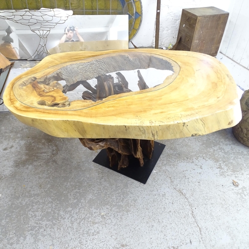 2633 - A contemporary hardwood live-edge centre table, with inset glass top and rootwood base. 160x83x94cm.