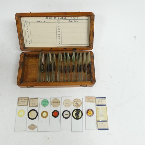 342 - A Vintage microscope, and several cases of slides, including many floral, pollen and insect related,... 