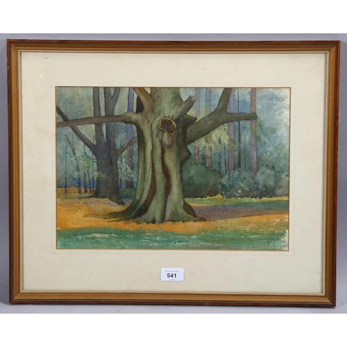 541 - John Mcgaw (1872 - 1952), big tree, watercolour, circa 1930, signed, 27cm x 38cm, framed