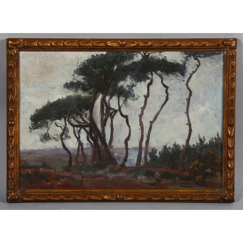 576 - Early 20th century impressionist Continental landscape, oil on board, indistinctly signed, 23cm x 34... 