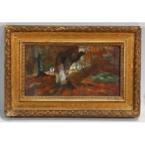 583 - 19th/20th century woodland scene, oil on wood panel, indistinctly signed, 10cm x 19cm, framed