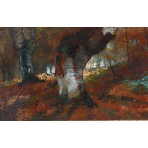 583 - 19th/20th century woodland scene, oil on wood panel, indistinctly signed, 10cm x 19cm, framed