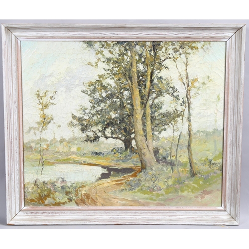 593 - 20th century impasto woodland landscape, oil on canvas, unsigned, 50cm x 60cm, framed