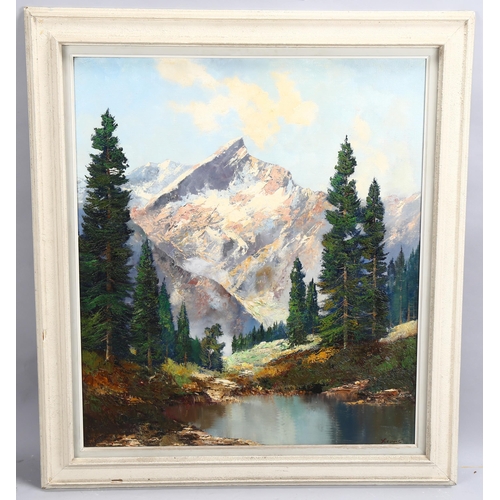 596 - Mid-20th century Alpine landscape, oil on canvas, indistinctly signed, 79cm x 69cm, framed