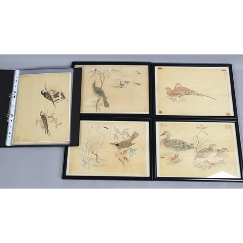 632 - Set of 10 Japanese watercolour bird studies, 19cm x 27cm (4 framed + 6 unframed)