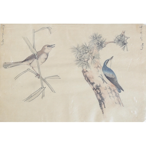 632 - Set of 10 Japanese watercolour bird studies, 19cm x 27cm (4 framed + 6 unframed)