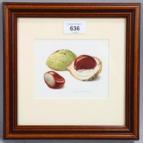 636 - Christine Hart-Davies, conkers, watercolour, signed, 10cm x 12cm, framed