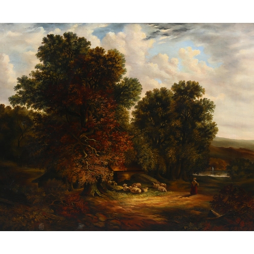 702 - 19th century British School, rural landscape with sheep, oil on canvas, unsigned, 61cm x 74cm, frame... 