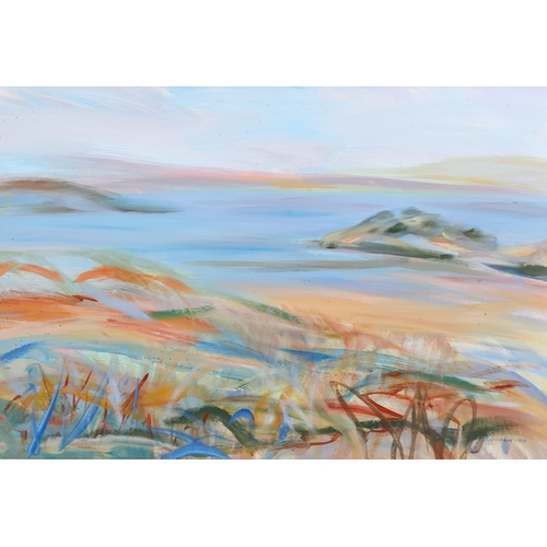 720 - I Leslie Main, early morning Western Isles, mixed media on board, signed and dated 1989, Exhibition ... 