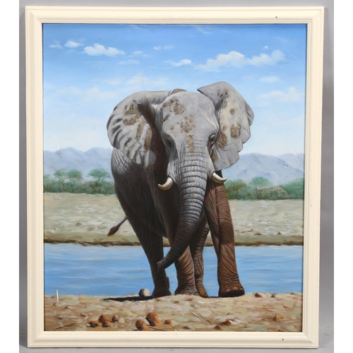 726 - G Hansh, bull elephant, oil on board, signed, 60cm x 51cm, framed