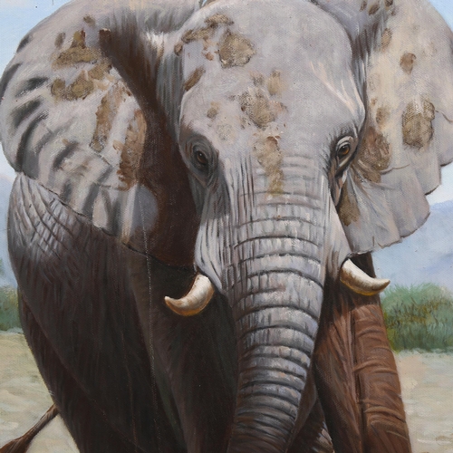 726 - G Hansh, bull elephant, oil on board, signed, 60cm x 51cm, framed