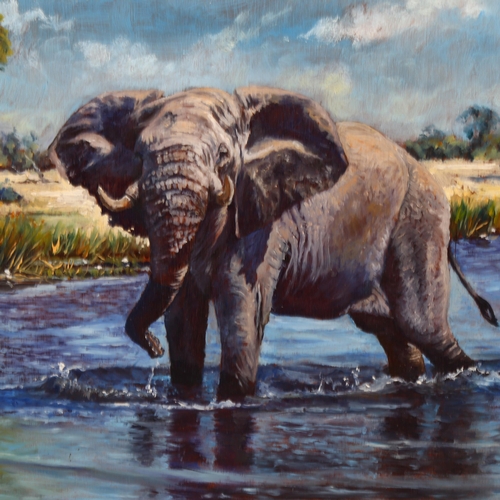 727 - G Hansh, bull elephant, oil on board, signed, 40cm x 60cm, framed