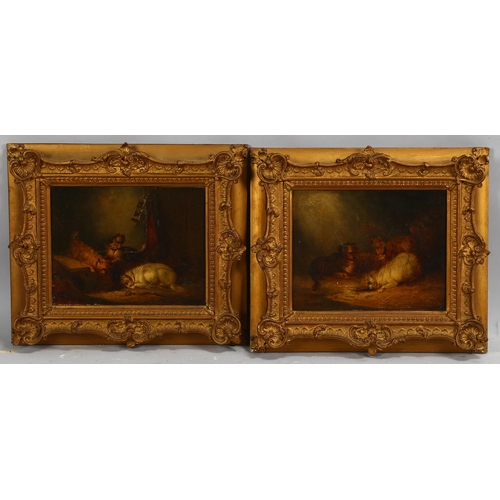 729 - Manner of George Armfield, Terriers ratting, pair of 19th century oils on canvas laid on board, unsi... 