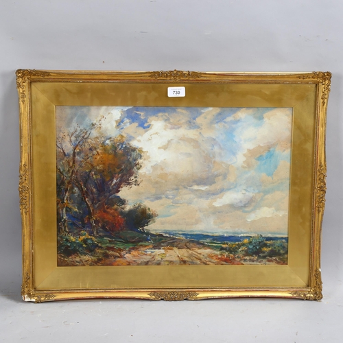 730 - Thomas William Morley, wooded landscape, watercolour, signed, 36cm x 53cm, framed