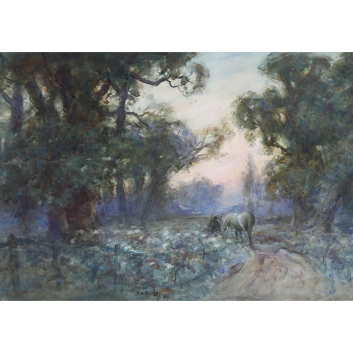 731 - Thomas William Morley, bluebell wood, watercolour, signed, 36cm x 51cm, framed