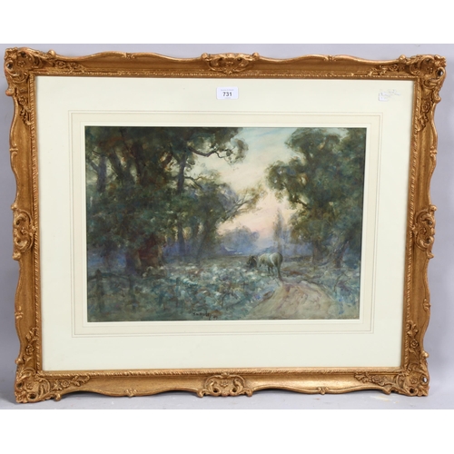 731 - Thomas William Morley, bluebell wood, watercolour, signed, 36cm x 51cm, framed