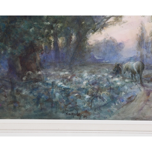 731 - Thomas William Morley, bluebell wood, watercolour, signed, 36cm x 51cm, framed