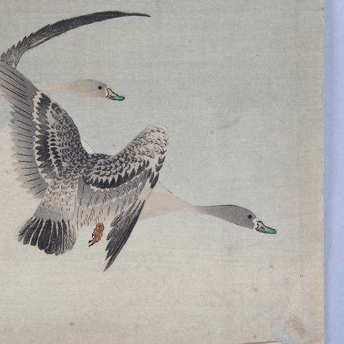 753 - Ohara Koson, Japanese woodblock print, 2 geese, 23cm x 25cm, unframed