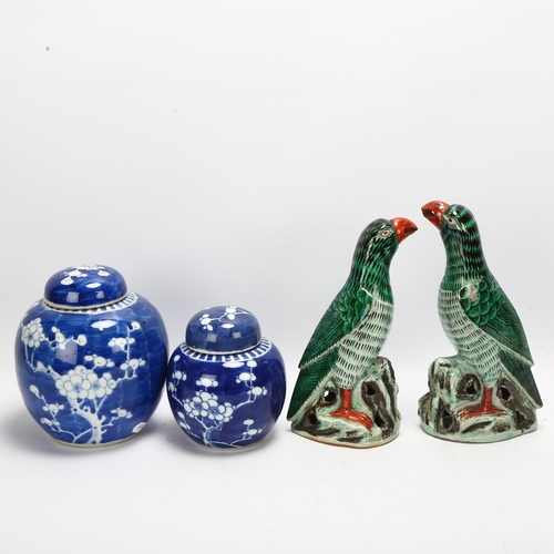 107 - A pair of Chinese porcelain parrots, height 21cm, and 2 similar Chinese blue and white porcelain gin... 