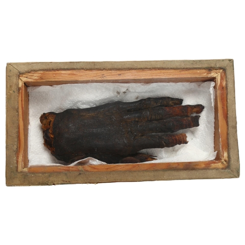 123 - An Ancient Egyptian mummified hand