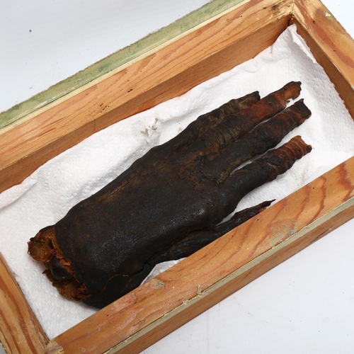 123 - An Ancient Egyptian mummified hand