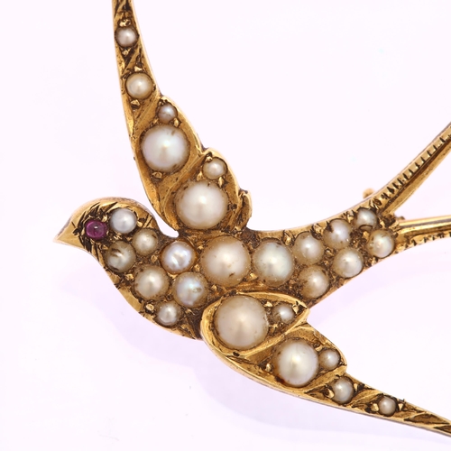 1103 - An Edwardian pearl and ruby swallow bird brooch, circa 1905, unmarked gold settings, wingspan 41.3mm... 