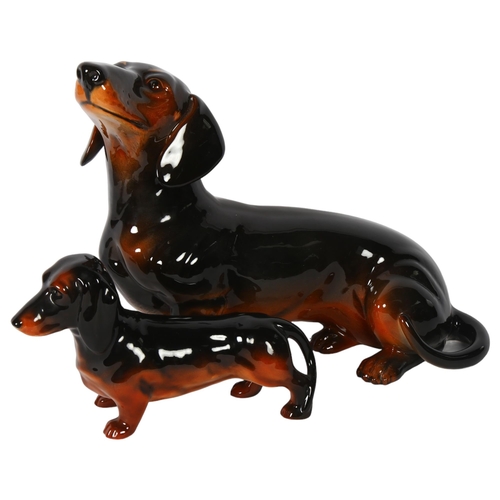 110 - BESWICK - 2 glazed Dachshunds, largest 38cm, smaller 23cm