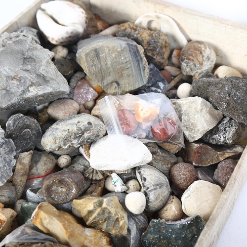 354 - A tray of various minerals, fossils and other stones of interest