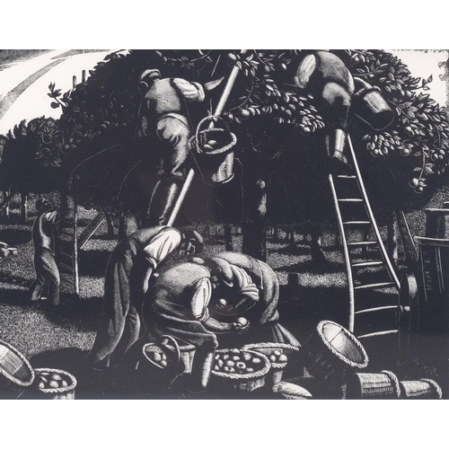 273 - Clare Leighton (1898-1989), wood engraving printed from the block on paper, September, Apple-Picking... 