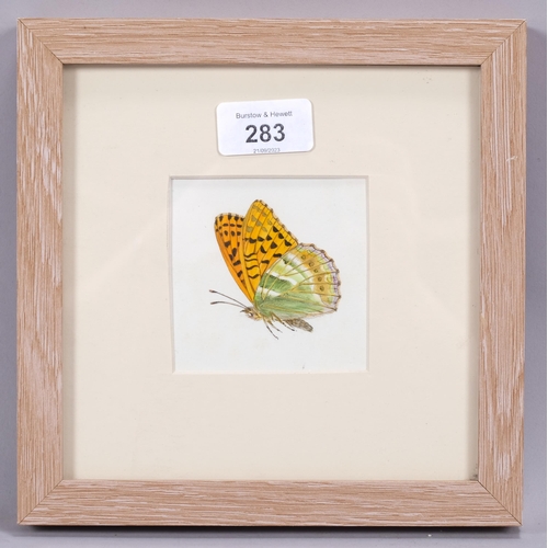 283 - Brian Hargreaves (1935-2011), watercolour on paper, Silver Washed Fritillary, 8cm x 8cm, mounted, gl... 