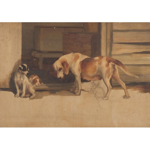 323 - Late 19th/early 20th century oil on canvas, sketch, group study of dogs and puppies, unsigned, 55cm ... 