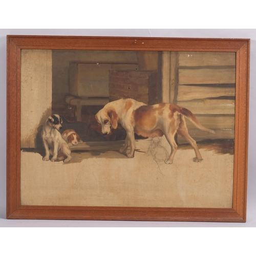 323 - Late 19th/early 20th century oil on canvas, sketch, group study of dogs and puppies, unsigned, 55cm ... 