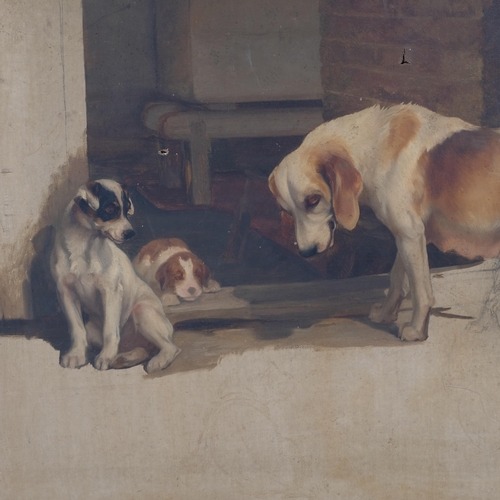 323 - Late 19th/early 20th century oil on canvas, sketch, group study of dogs and puppies, unsigned, 55cm ... 