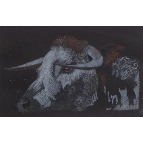 324 - Allan Warden, the bull, coloured pencil on black paper, signed, 11cm x 17cm, framed