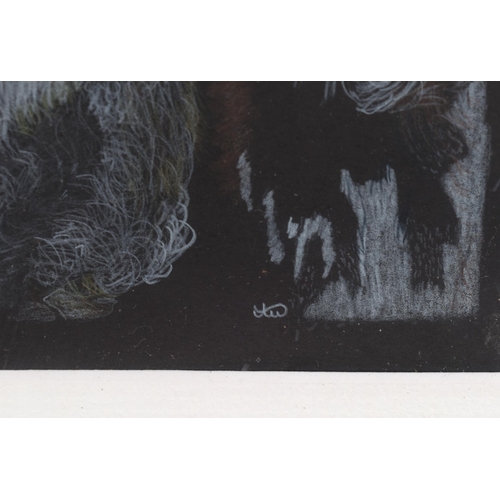 324 - Allan Warden, the bull, coloured pencil on black paper, signed, 11cm x 17cm, framed