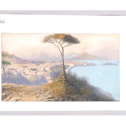 325 - 19th century Italian School, view of the Bay of Naples, watercolour, indistinctly signed, 21cm x 37c... 