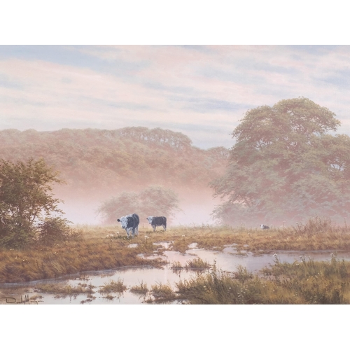 332 - David Morgan (born 1947), cattle in landscape, oil on canvas, signed, 44cm x 61cm, framed