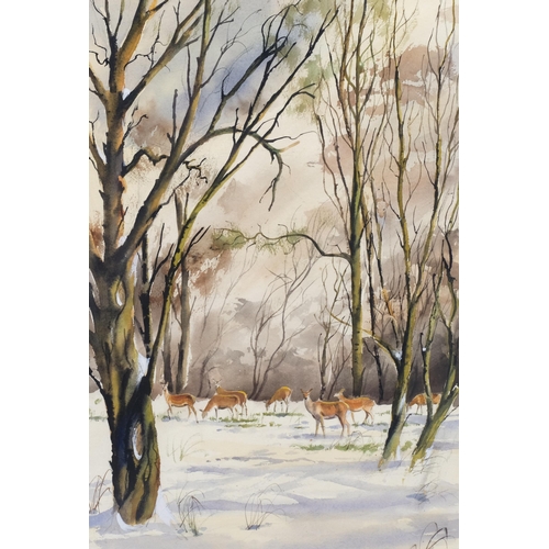 338 - Bernard Bavis?, deer in woodland, watercolour, signed, 51cm x 35cm, framed