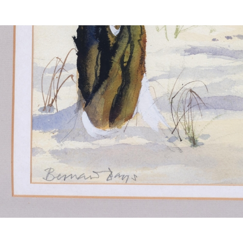 338 - Bernard Bavis?, deer in woodland, watercolour, signed, 51cm x 35cm, framed