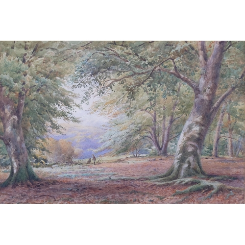 373 - Powell May, woodland scene, watercolour, 27cm x 38cm, and 2 other unsigned watercolours, 2 framed an... 