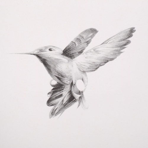 397 - HelloVon Studio, 2 limited edition humming bird prints, largest 30cm x 42cm, from an edition of 50 c... 