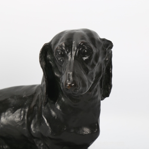 179 - A 20th century patinated bronze Dachshund seated dog, signed to base Carin Trygger, height 25cm, len... 