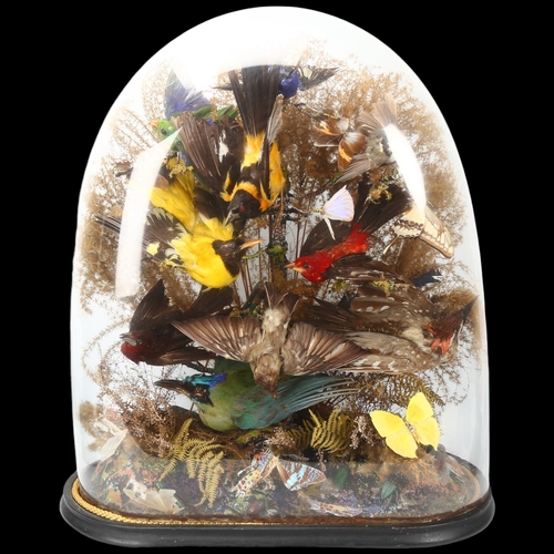 206 - TAXIDERMY - a naturalistic display of exotic birds butterflies and beetles under glass dome, probabl... 