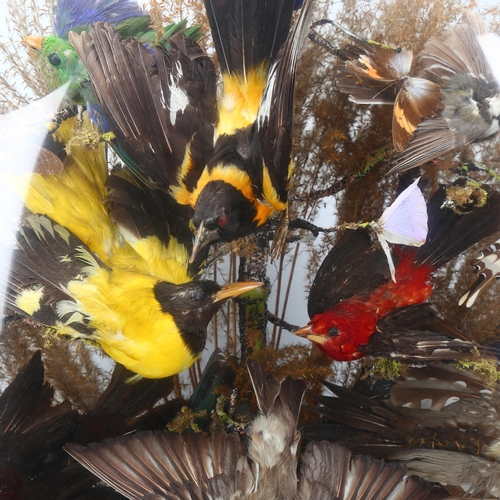 206 - TAXIDERMY - a naturalistic display of exotic birds butterflies and beetles under glass dome, probabl... 