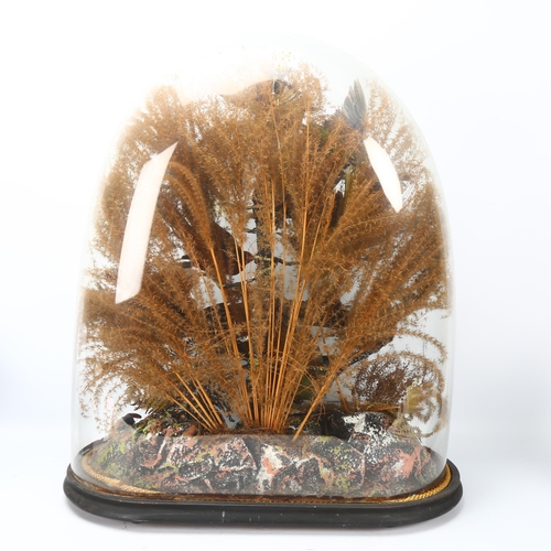 206 - TAXIDERMY - a naturalistic display of exotic birds butterflies and beetles under glass dome, probabl... 