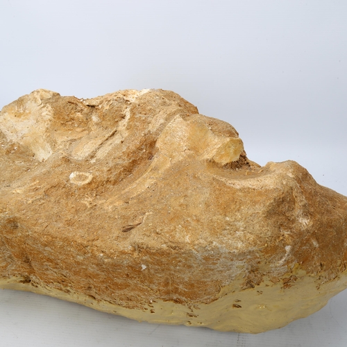 320 - A prehistoric fossilised dinosaur vertebrae and ribs, Cretaceous Period, length approx 45cm