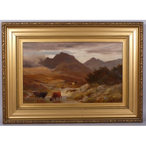 673 - Stephen Hogley (active 1874 - 1893), Highland cattle in the mountains, oil on canvas, signed, 41cm x... 