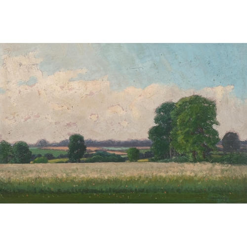 675 - J Trevor Midgley, landscape, oil on board, signed, 40cm x 60cm, unframed