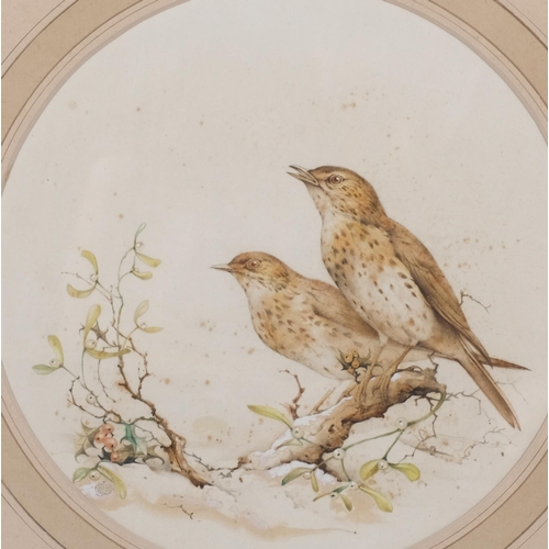 822 - Edward Julius Detmold (1883 - 1957), birds on a branch, watercolour, signed with monogram, diameter ... 